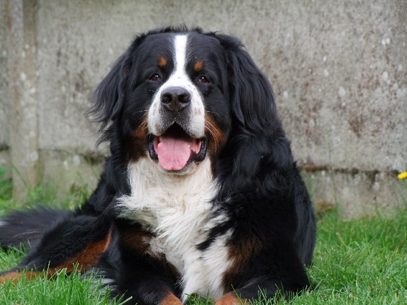 Eos de la Vallée d'Estréelles